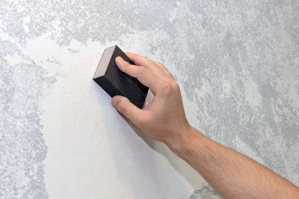 Best Commercial Mold Inspection  in Poteau, OK