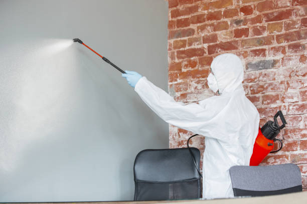 Mold Remediation for Rental Properties in Poteau, OK