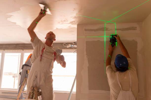 Best Emergency Mold Remediation  in Poteau, OK