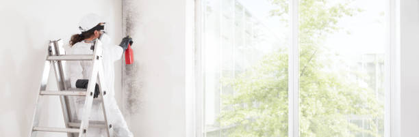 Best Real Estate Mold Inspection  in Poteau, OK